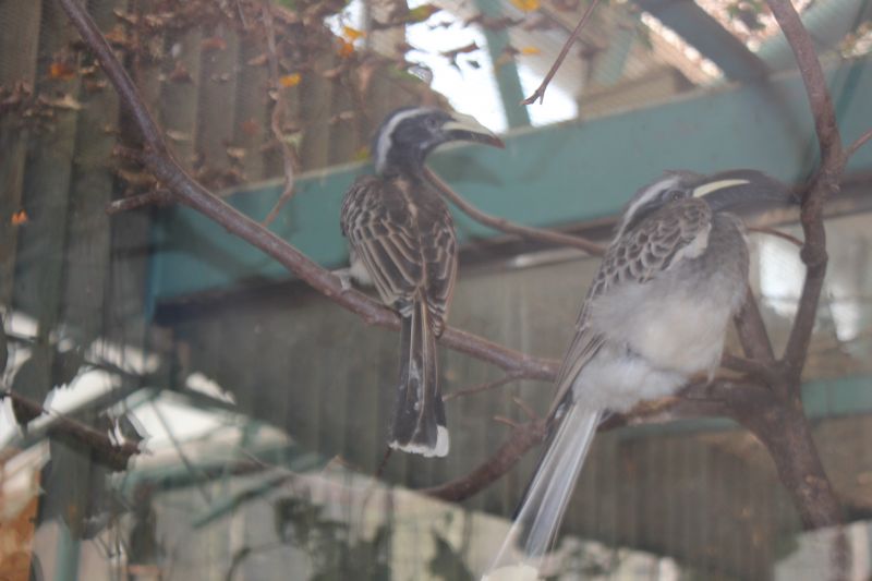 JIMG_0001_28529.JPG