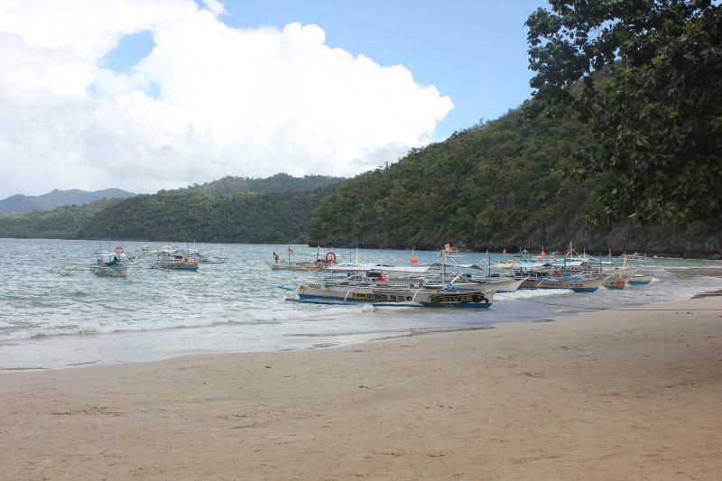 JIMG_0001_286429.JPG