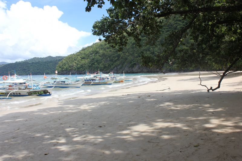 JIMG_0001_287429.JPG