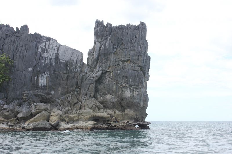 JIMG_0001_287629.JPG