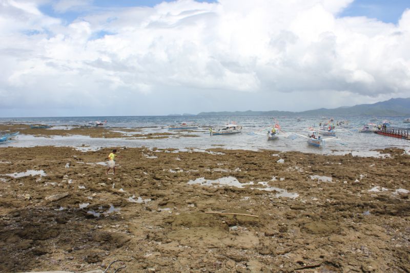 JIMG_0001_288229.JPG