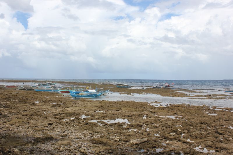 JIMG_0001_288329.JPG