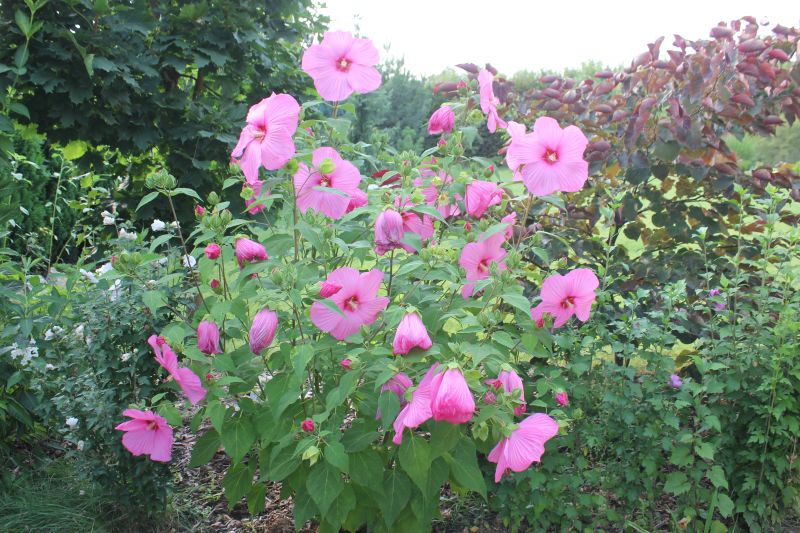 JIMG_9999_281029.JPG