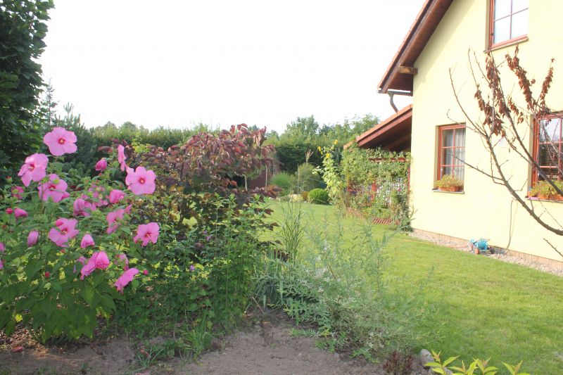 JIMG_9999_281229.JPG