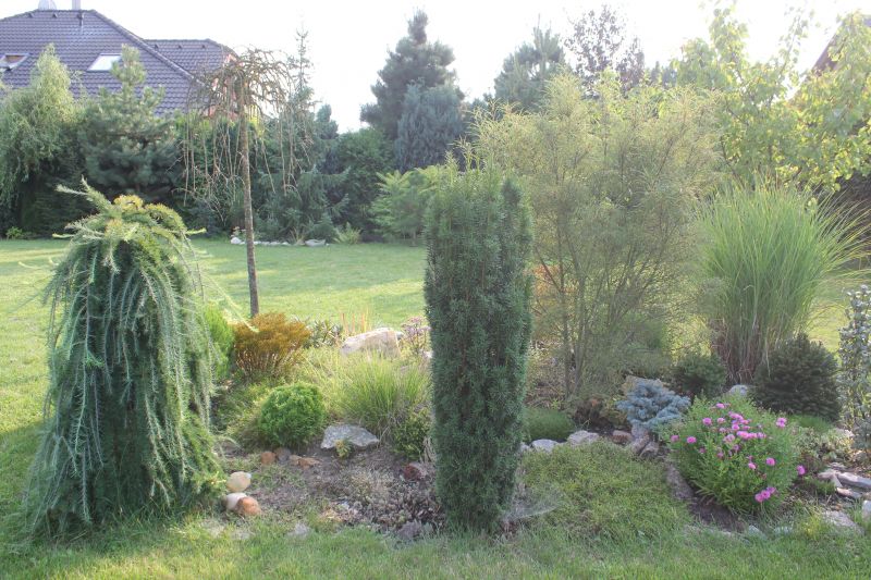 JIMG_9999_281929.JPG