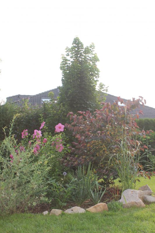 JIMG_9999_28829.JPG