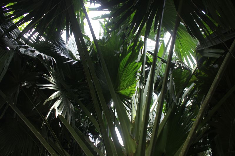 JMG_0150_281029.JPG