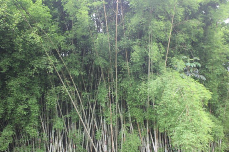 JMG_0150_281629.JPG