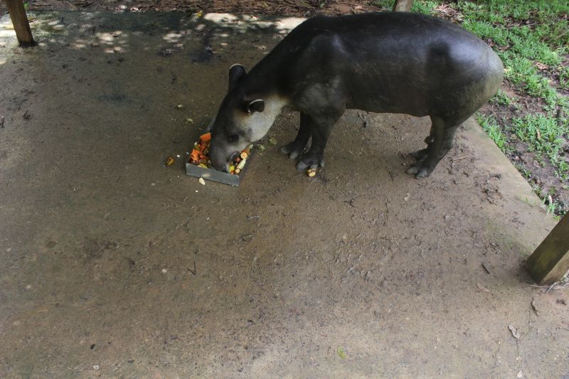 JMG_0150_282529.JPG