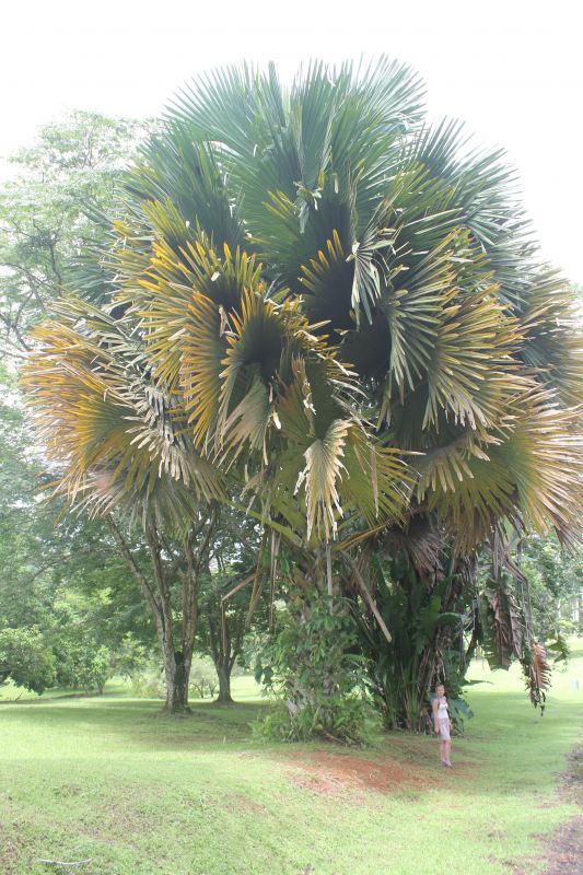 JMG_0150_282829.JPG