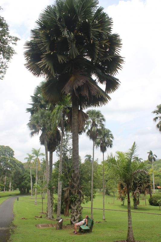 JMG_0150_282929.JPG