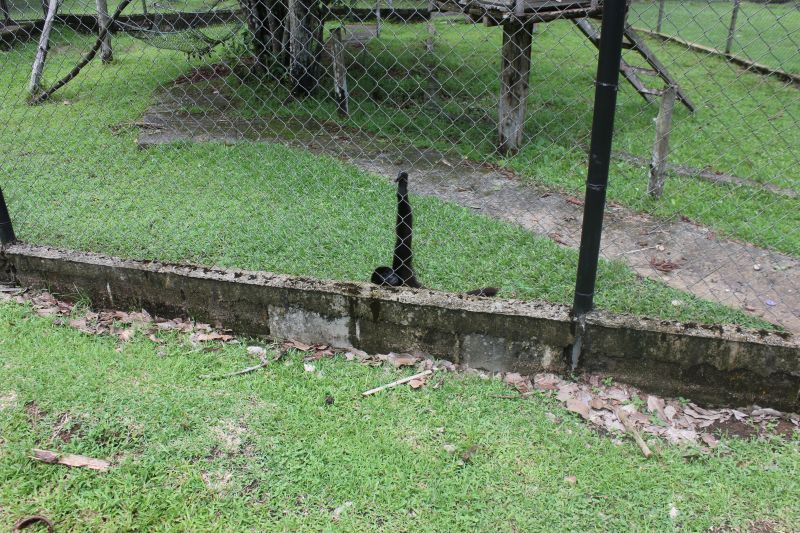 JMG_0150_283329.JPG