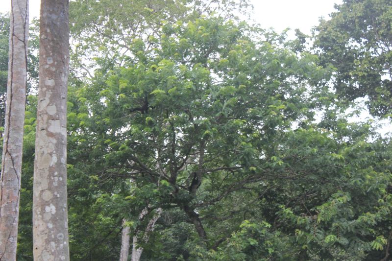 JMG_0150_283429.JPG