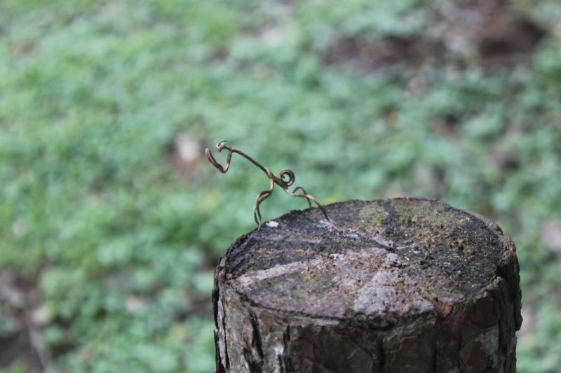 JMG_0150_283529.JPG