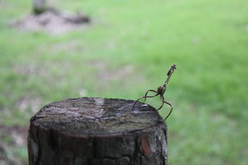 JMG_0150_283829.JPG