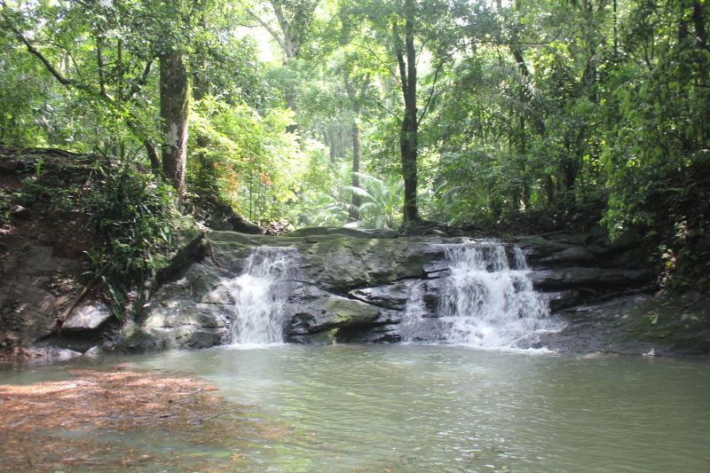 JMG_0150_28429.JPG