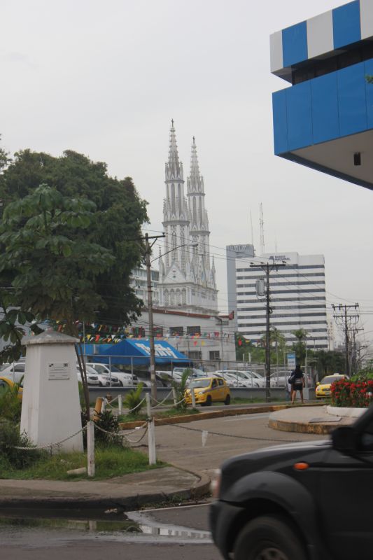 JMG_0150_289329.JPG