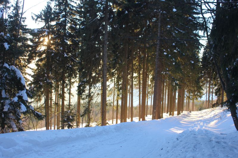 KIMG_0080_285729.JPG