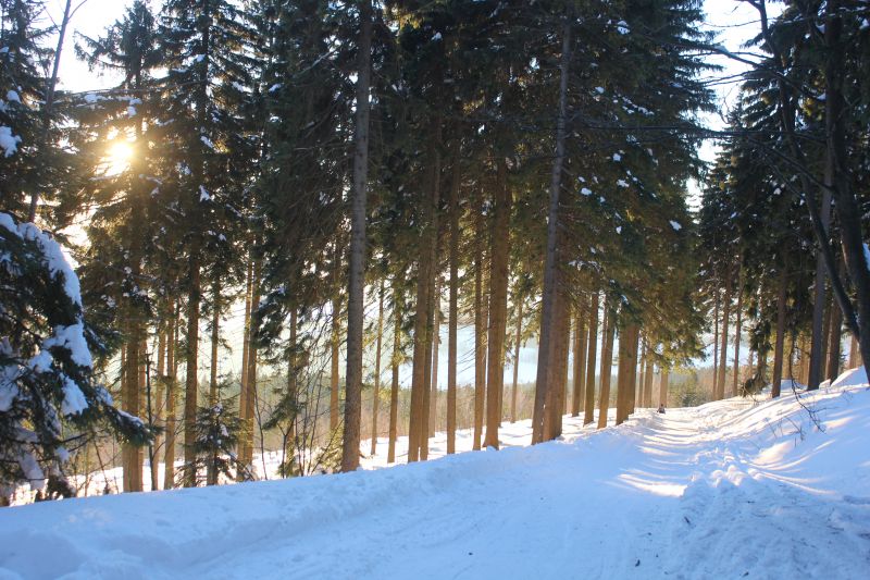 KIMG_0080_285829.JPG