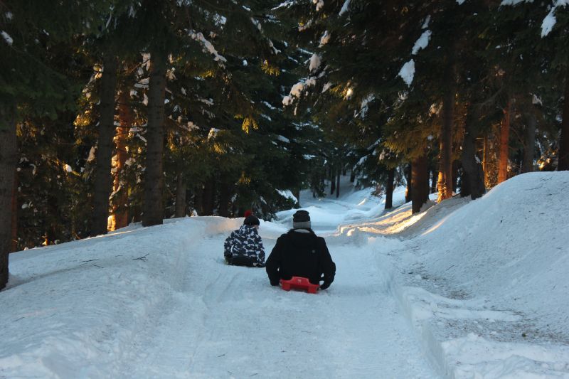 KIMG_0080_286729.JPG