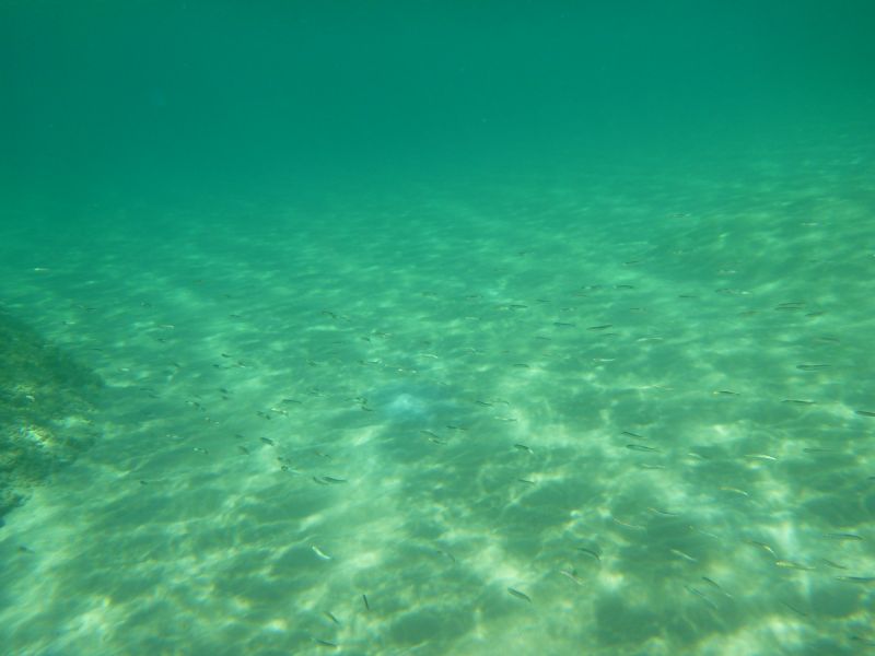 P1080579.JPG