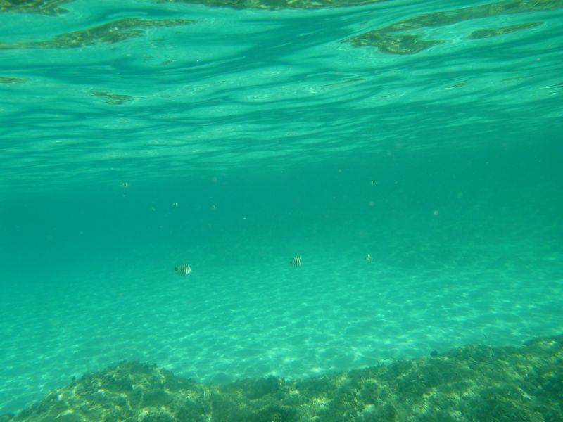P1080581.JPG