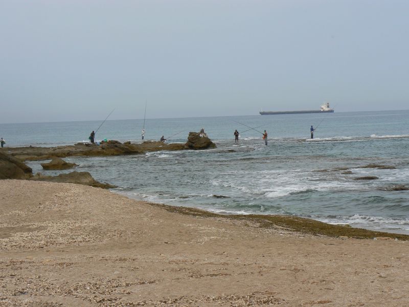 P1120428.JPG