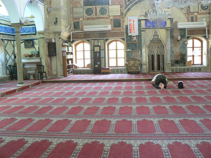 P1120542.JPG