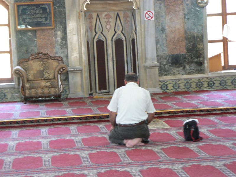 P1120544.JPG