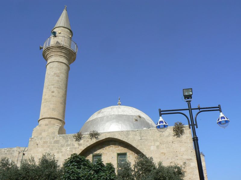 P1120666.JPG