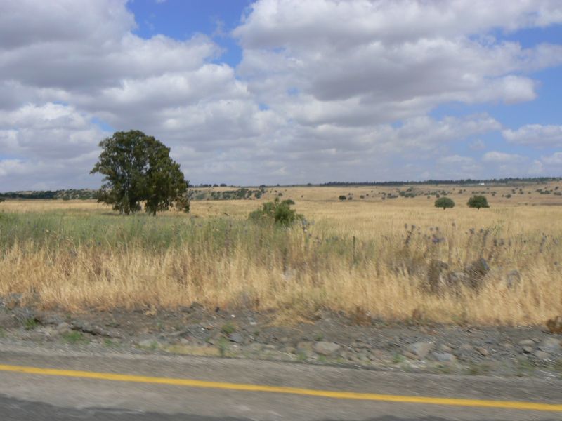 P1120762.JPG