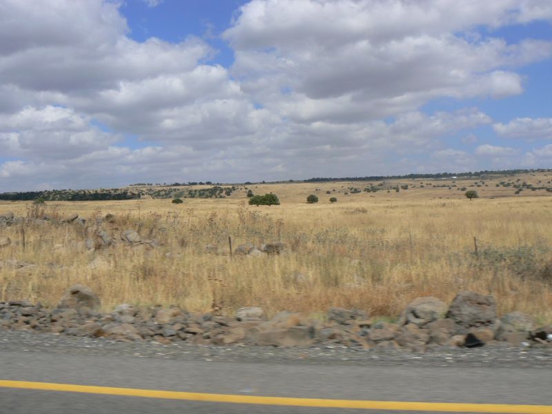 P1120763.JPG