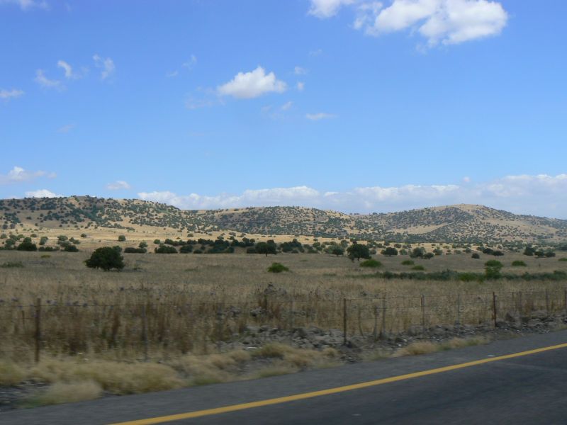 P1120764.JPG