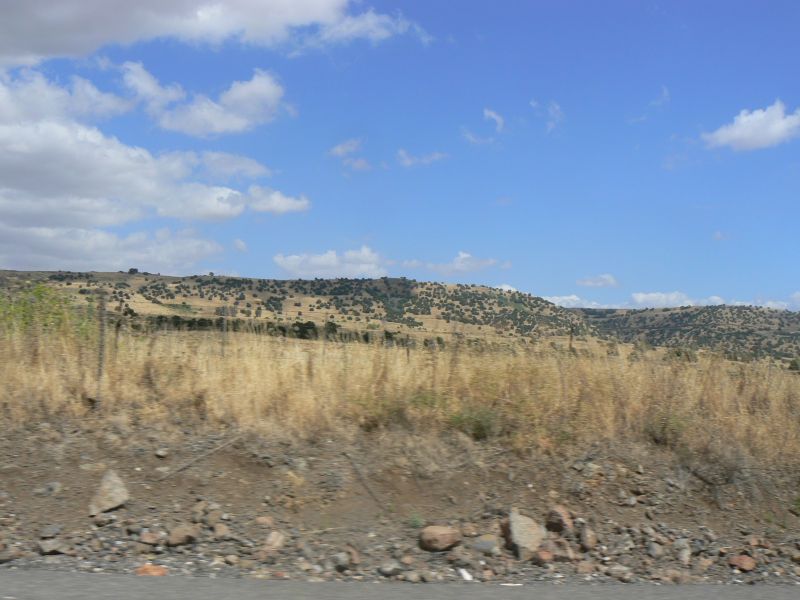 P1120767.JPG