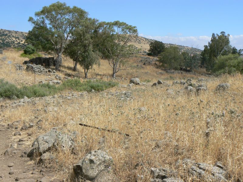 P1120775.JPG