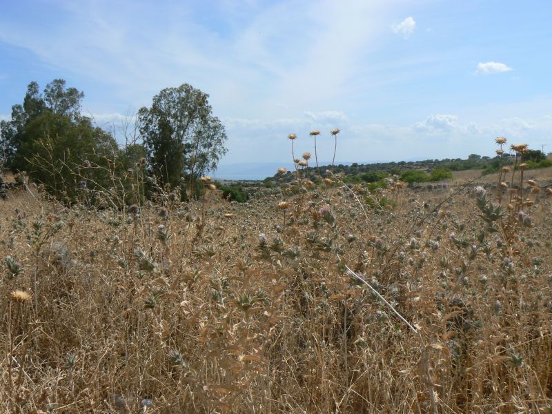 P1120777.JPG