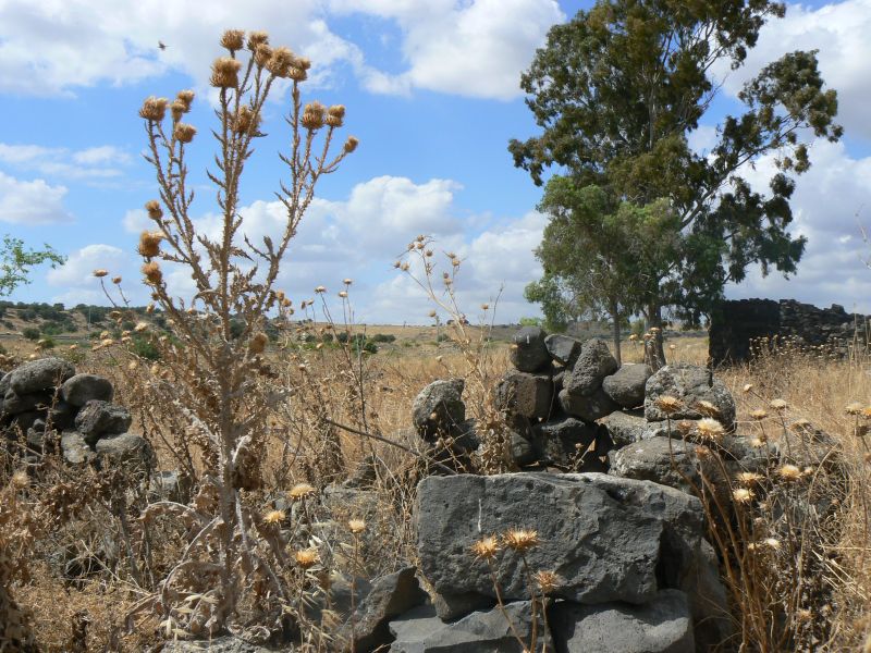 P1120783.JPG