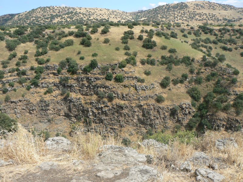 P1120785.JPG