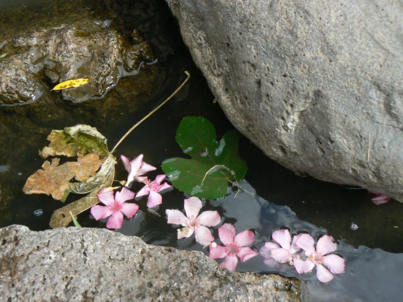 P1120834.JPG