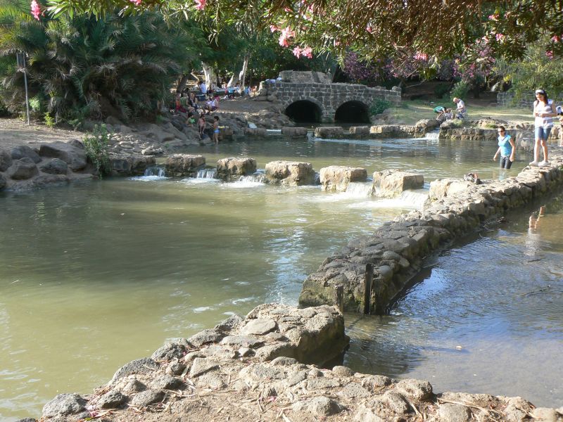 P1120863.JPG