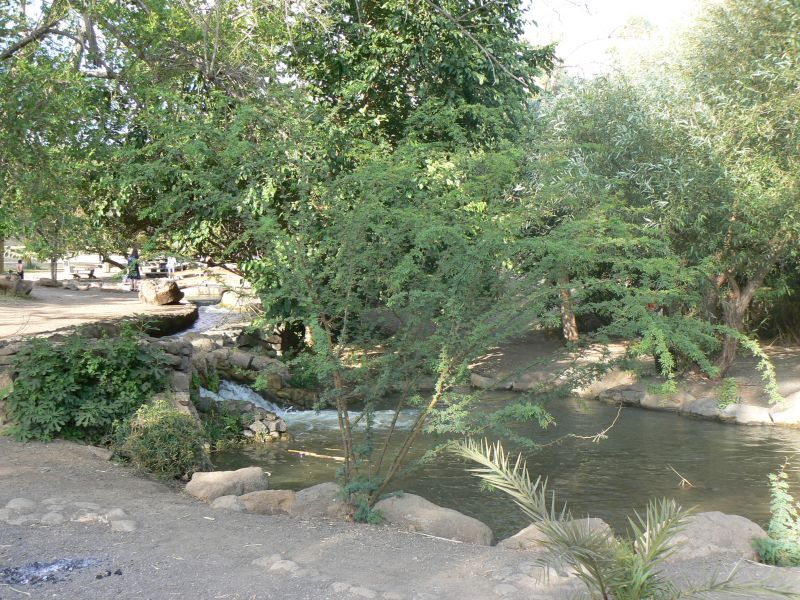 P1120875.JPG