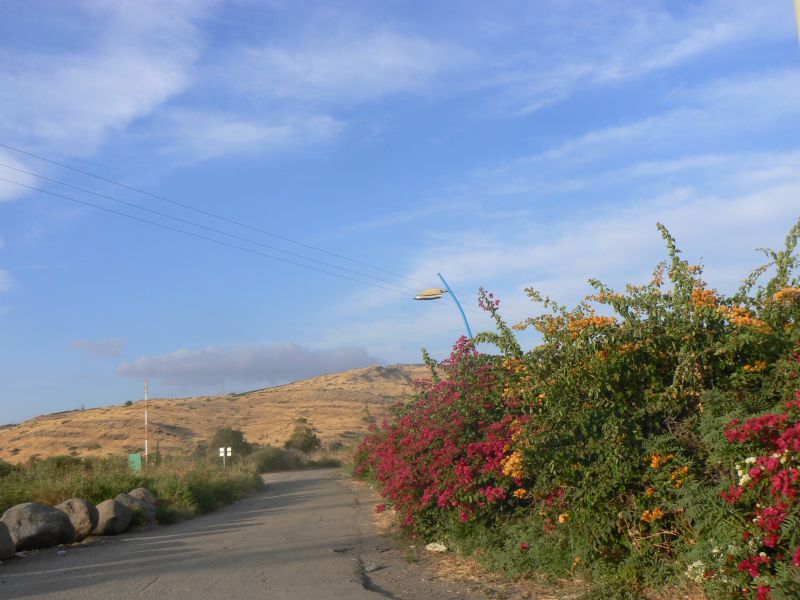 P1120931.JPG
