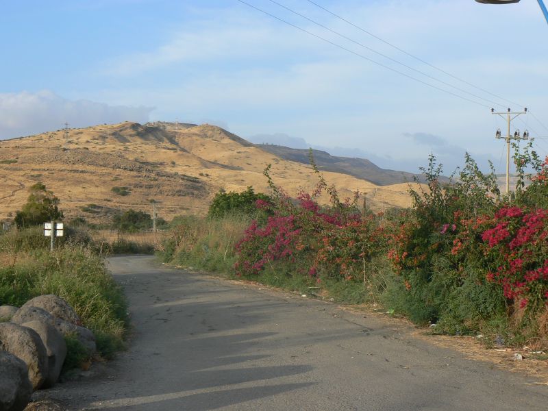 P1120935.JPG