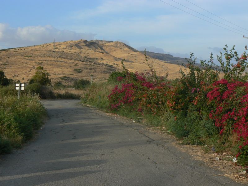 P1120936.JPG