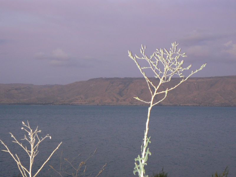 P1120994.JPG