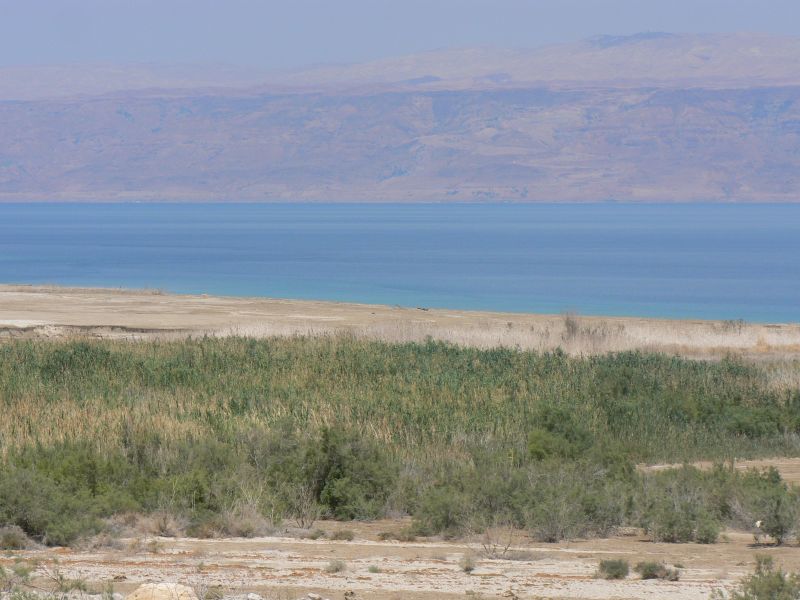 P1130179.JPG