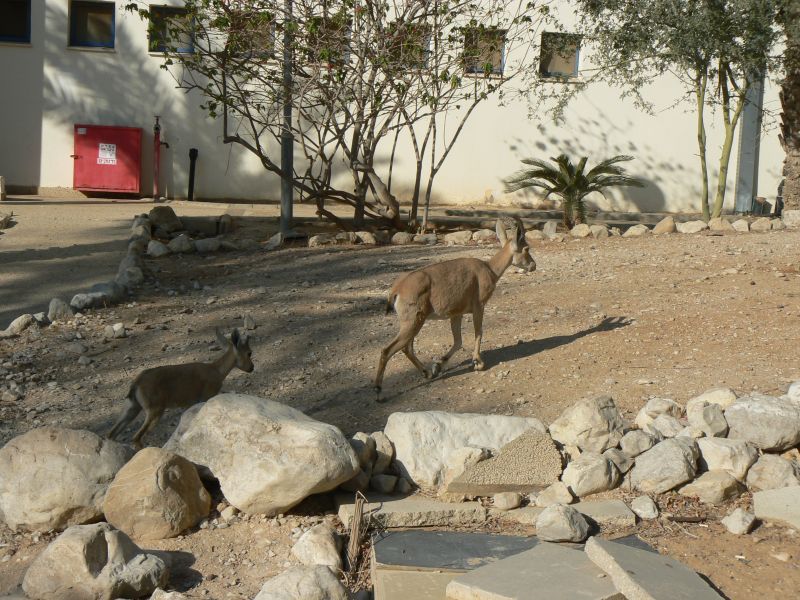 P1130344.JPG