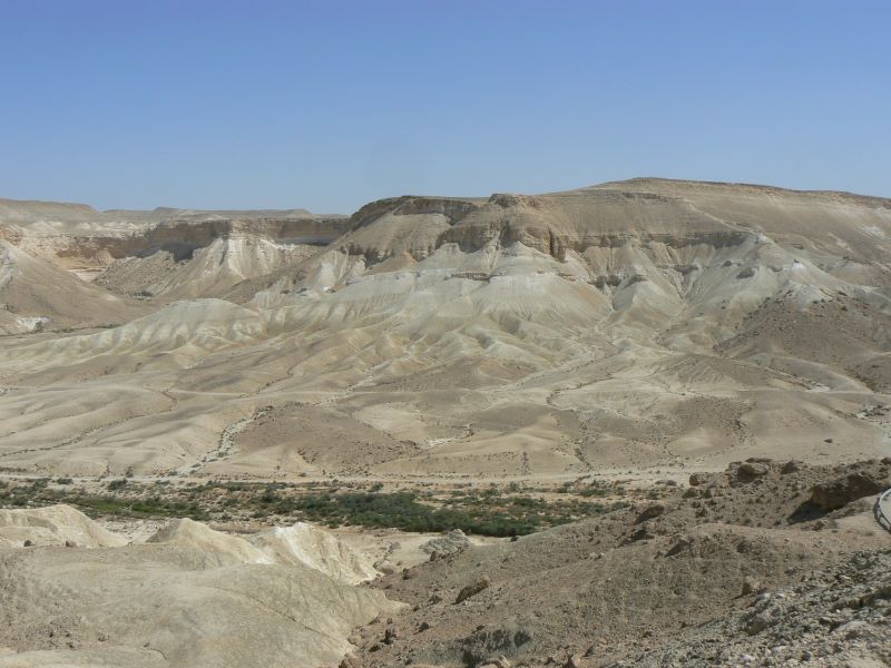 P1130554.JPG