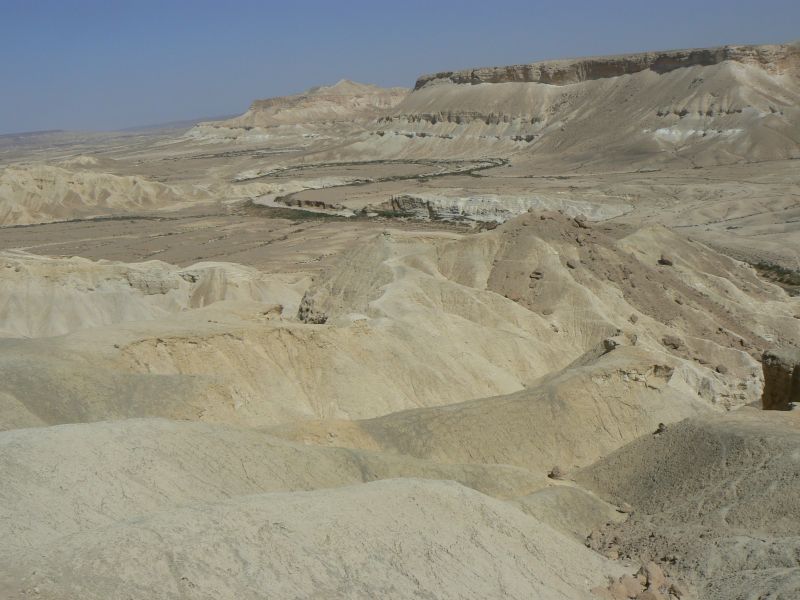 P1130555.JPG