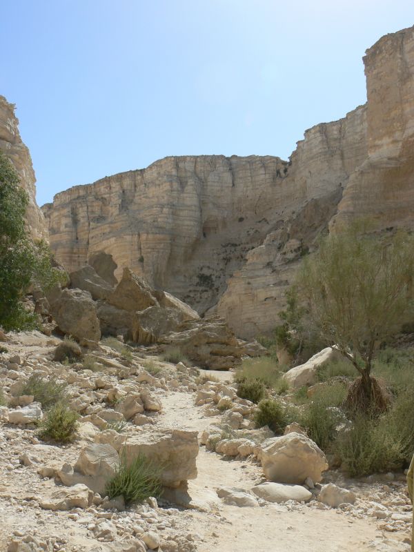 P1130564.JPG